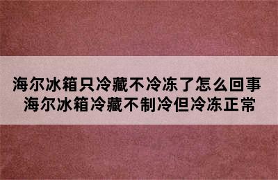 海尔冰箱只冷藏不冷冻了怎么回事 海尔冰箱冷藏不制冷但冷冻正常